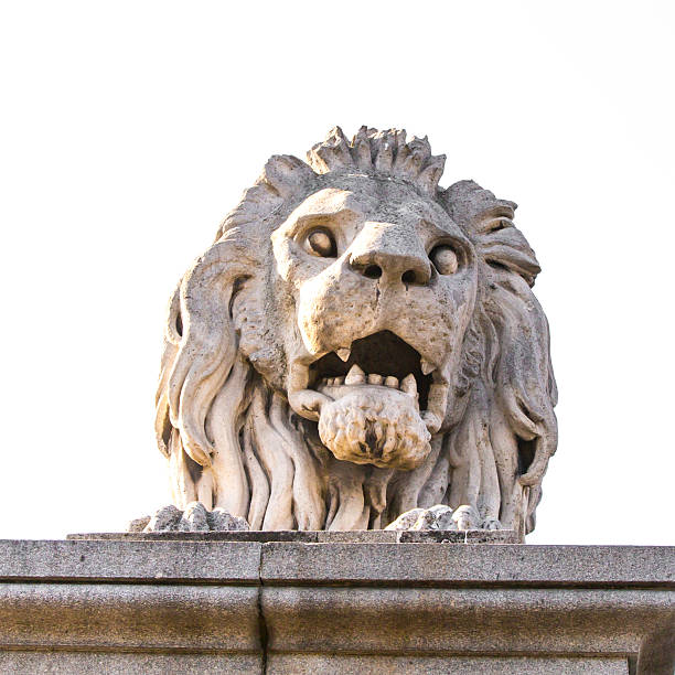 будапешт, lion statue at the цепной мост сечени - chain bridge budapest bridge lion стоковые фото и изображения