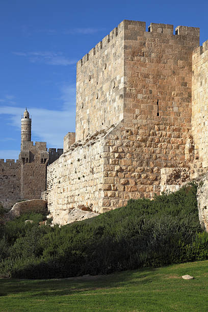 istock Grandiose Tower of David 529647261