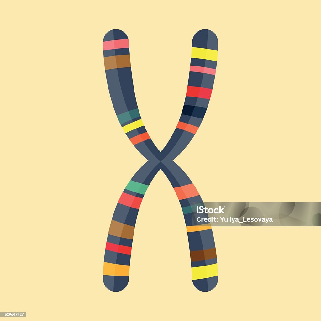 Abstract Illustration of chromosome in modern flat design Chromosome stock vector