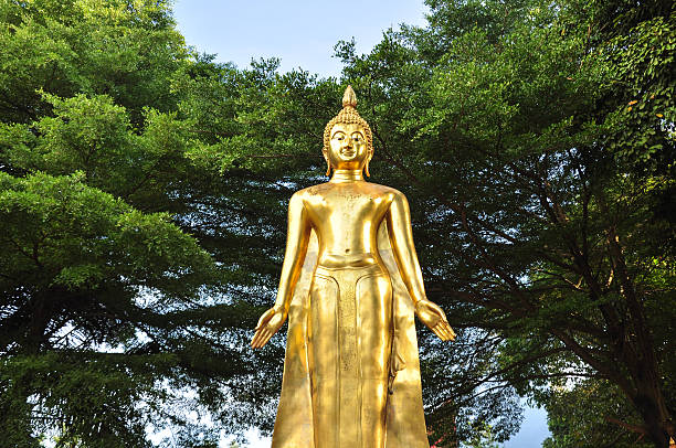 Free Stock Photo of Buddha Statue Standing in Front of Trees | Download ...