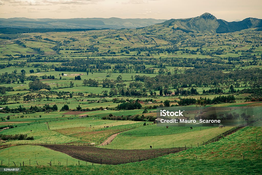 Fields near Cotopaxi Landscape of Machachi, Ecuador Autumn Stock Photo