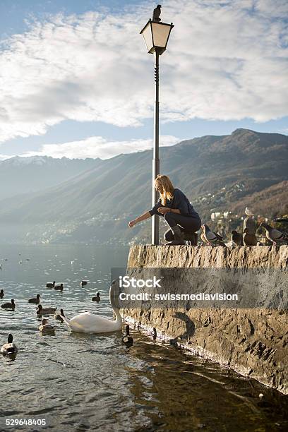 Woman Enjoying Feeding Ducks And Swan By The Lake Stock Photo - Download Image Now - Adult, Adults Only, Animal