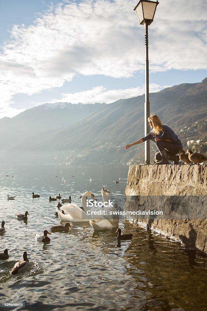 Birds feeding by the lake in Ascona-Switzerland Young woman feeding the ducks and swans by the lake Maggiore in Switzerland. Autumn in Ascona Pier Stock Photo