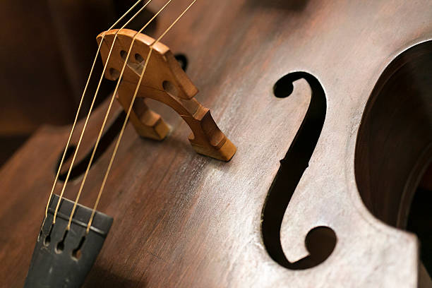 violin close-up
