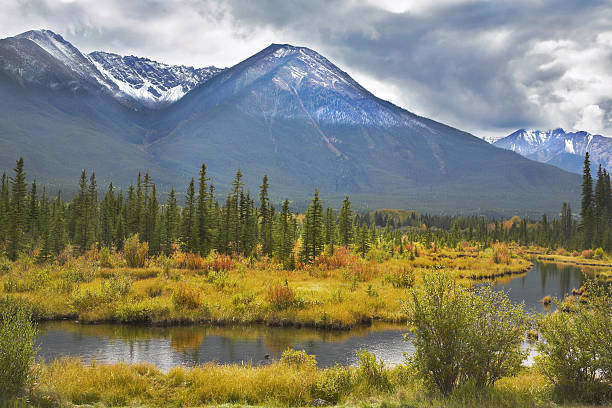 istock The picturesque bog 529653357