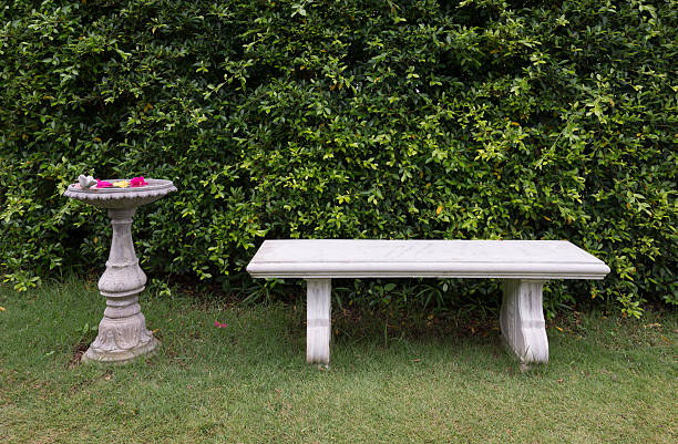 istock White chair with the bush Background 529654337