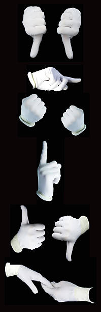 istock Set of hands wearing white gloves 529656990
