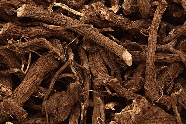 Macro closeup background texture of Organic Calamus (Acorus calamus) root.