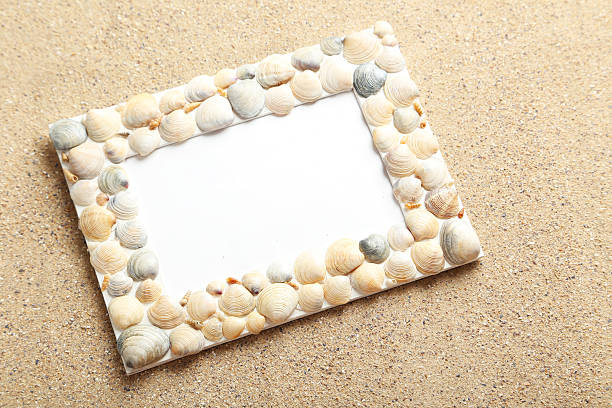 Frame of sea shells on beach sand