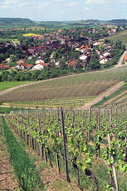 istock Michelbach in Hohenlohe 529660132