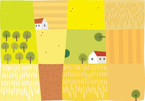 Vector illustration of Fields to harvest