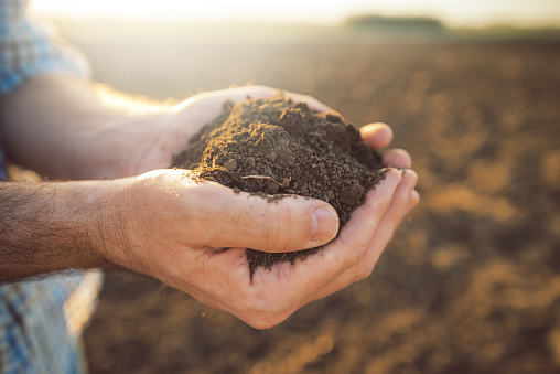 Handful of arable soil in hands of responsible farmer, close up, selective focus