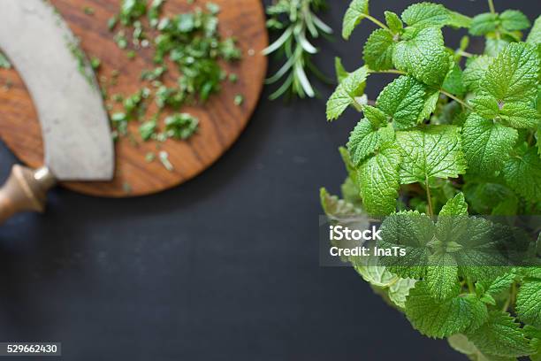 Potted Lemon Balm Stock Photo - Download Image Now - Chopped Food, Chopping Food, Cooking