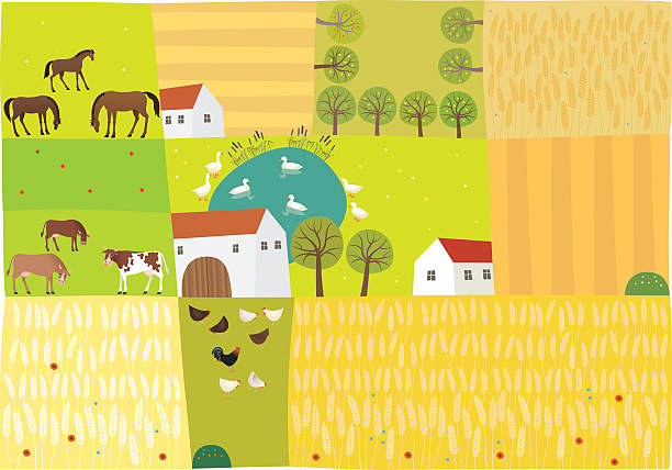 landschaft - corn stubble illustrations stock-grafiken, -clipart, -cartoons und -symbole