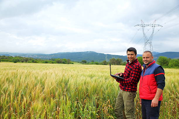 istock Farmers with laptop in the field 529662934