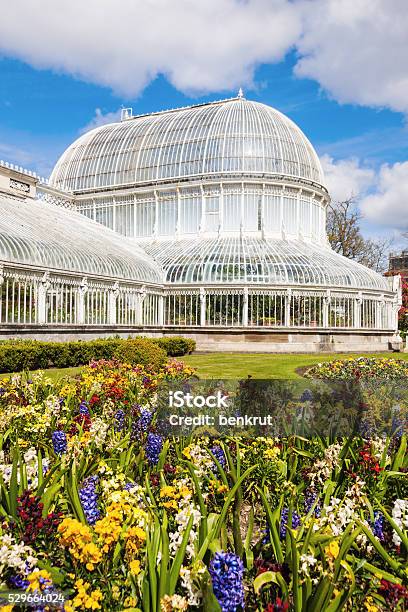 Palma Asamblea En Belfast Foto de stock y más banco de imágenes de Jardín Botánico - Jardín Botánico, Belfast, Parque público