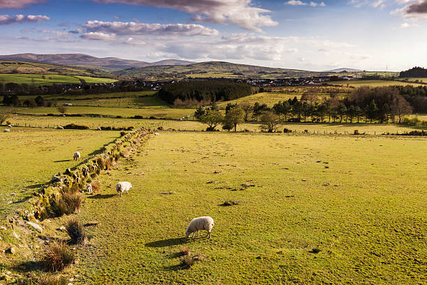 istock Somewhere in Northern Ireland 529664074