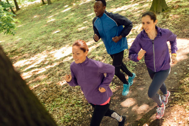 istock Friends Jogging In The Nature 529665412