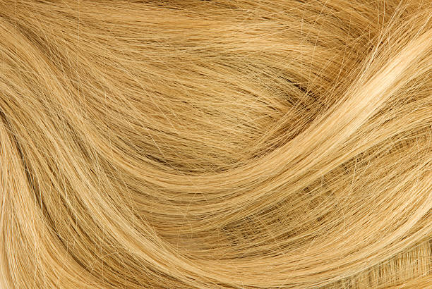 istock Women's natural blonde hair background 529666730