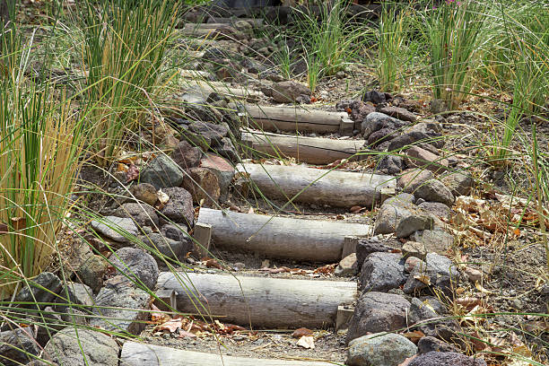 istock natural trunk wood stairs 529668138