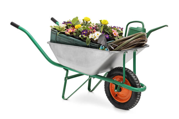 Wheelbarrow full of gardening equipment Studio shot of a wheelbarrow full of gardening equipment and flowers isolated on white background wheelbarrow stock pictures, royalty-free photos & images