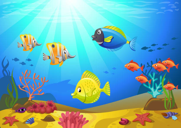 morza z korali - animal animal themes sea below stock illustrations