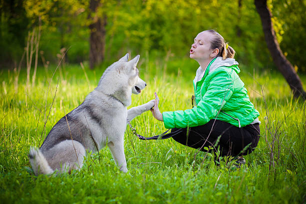 istock young woman play with husky 529672220