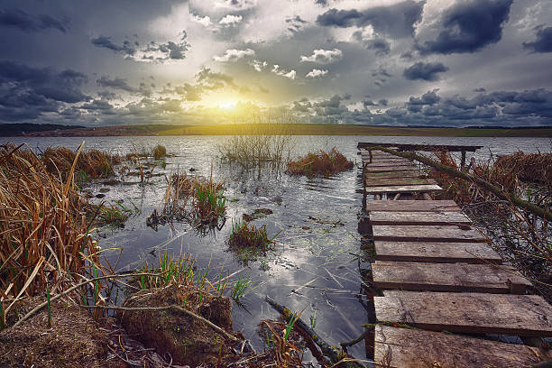 istock Old wooden pier with dry reed on sunset 529675372