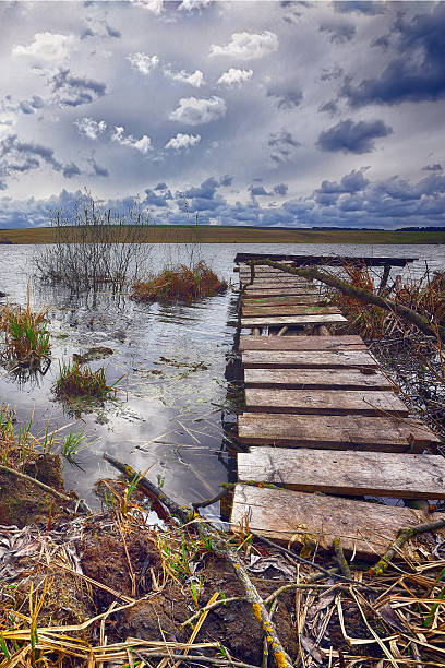 istock Old wooden pier with dry reed 529676550