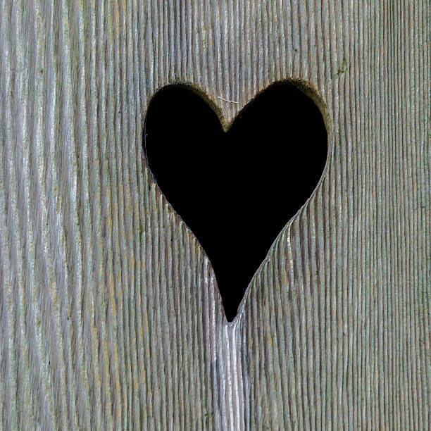 istock Heart in a Toilet Door 529678760