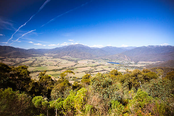 istock Mt Beauty Lookout 529680034