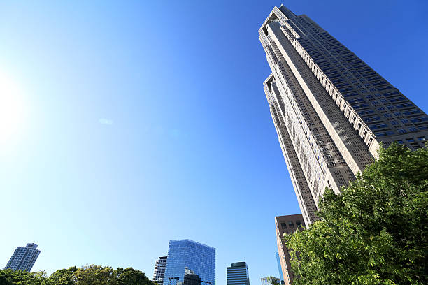 istock Tokyo Metropolitan Government Building 529681458