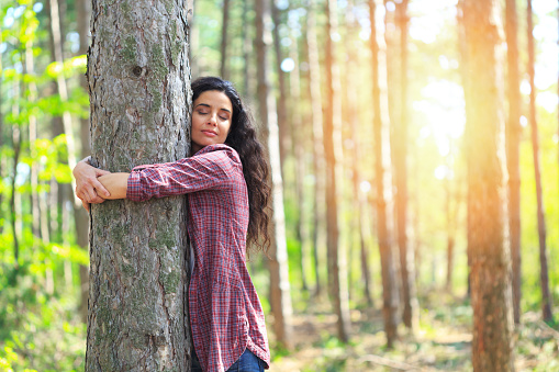 Cheerful young woman hugging tree in the forest. Standing, eyes closed. Trees and sun on background.