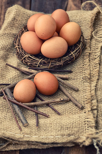 brązowe jaja w gniazdo na heski - heski zdjęcia i obrazy z banku zdjęć