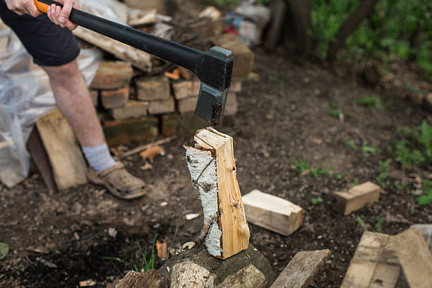 istock man chopping wood in village 529682572