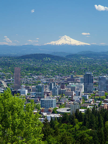istock Portland Oregon in spring. 529682950