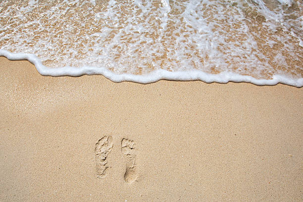istock Footprints on sea shore. Sea water wave. Beach Vacation 529685154