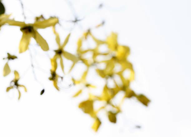 Abstract light beams and bokeh spots background.