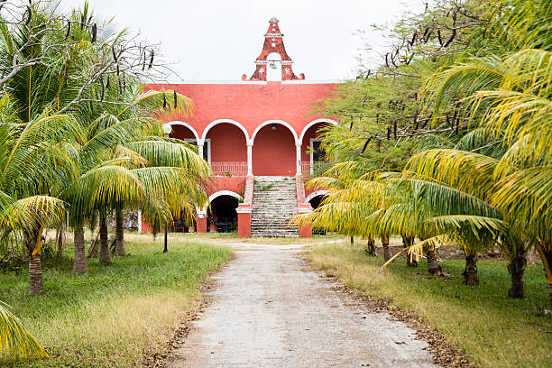 Road lined with palm trees leading to an old abandoned building
