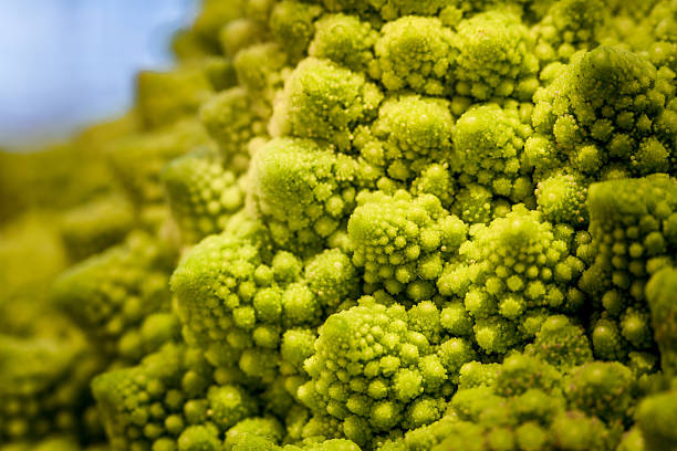 Romanescu – Foto