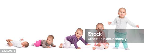 Baby Development Stages Stock Photo - Download Image Now - Baby - Human Age, Development, Child