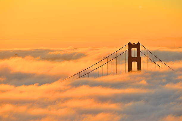istock Golden Gate Bridge Fog 529691191