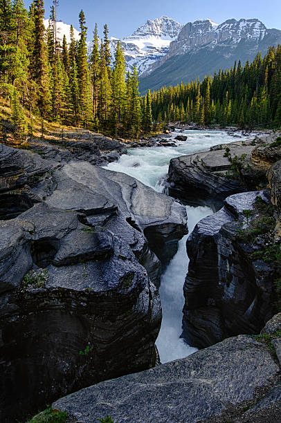 istock Mistaya Canyon rocky mountain jasper 529694421