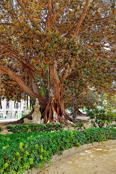 istock Statue  in park - places  of Valencia 529694529