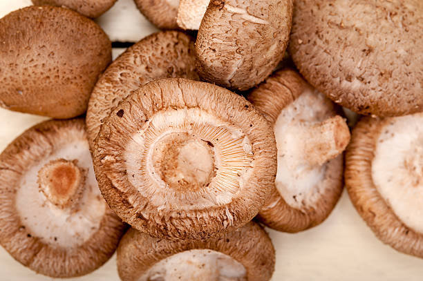 istock Shiitake mushrooms in close up detail. 529694651