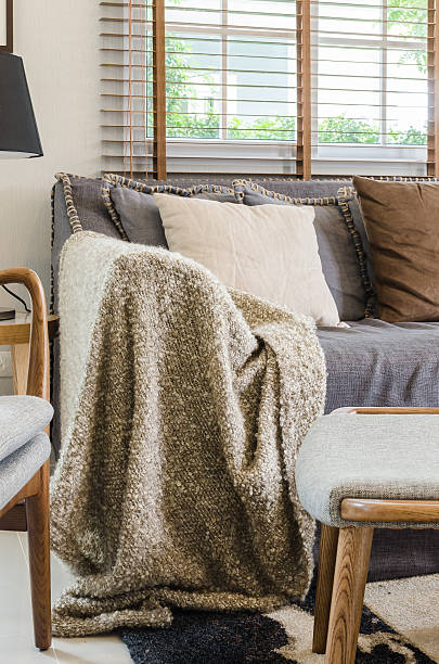 istock brown blanket on sofa in living room 529696167
