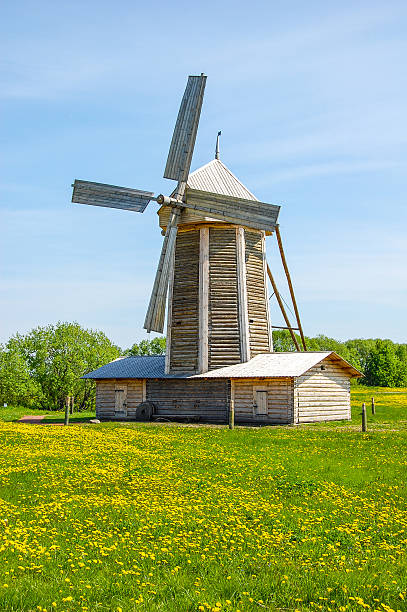 istock Ancient windmill with thatched roofing in a green meadow 529696815