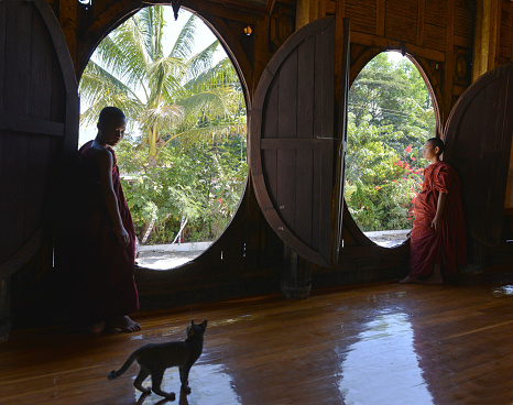 Inle, Mynamar - December 9th 2014:A temple cat and two young novice monks pondering, Shwe Yaungwe Monastery, Inle Lake, Myanmar