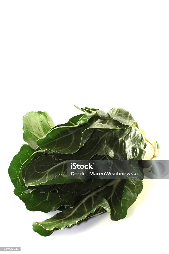 Chard a fresh shrub Chard before a white background Beet Stock Photo