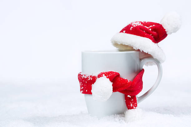 istock Mug in a cap and scarf 529728669